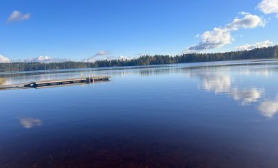 What To Do Near Savo Forest Family House